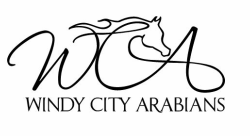 Windy City Arabians